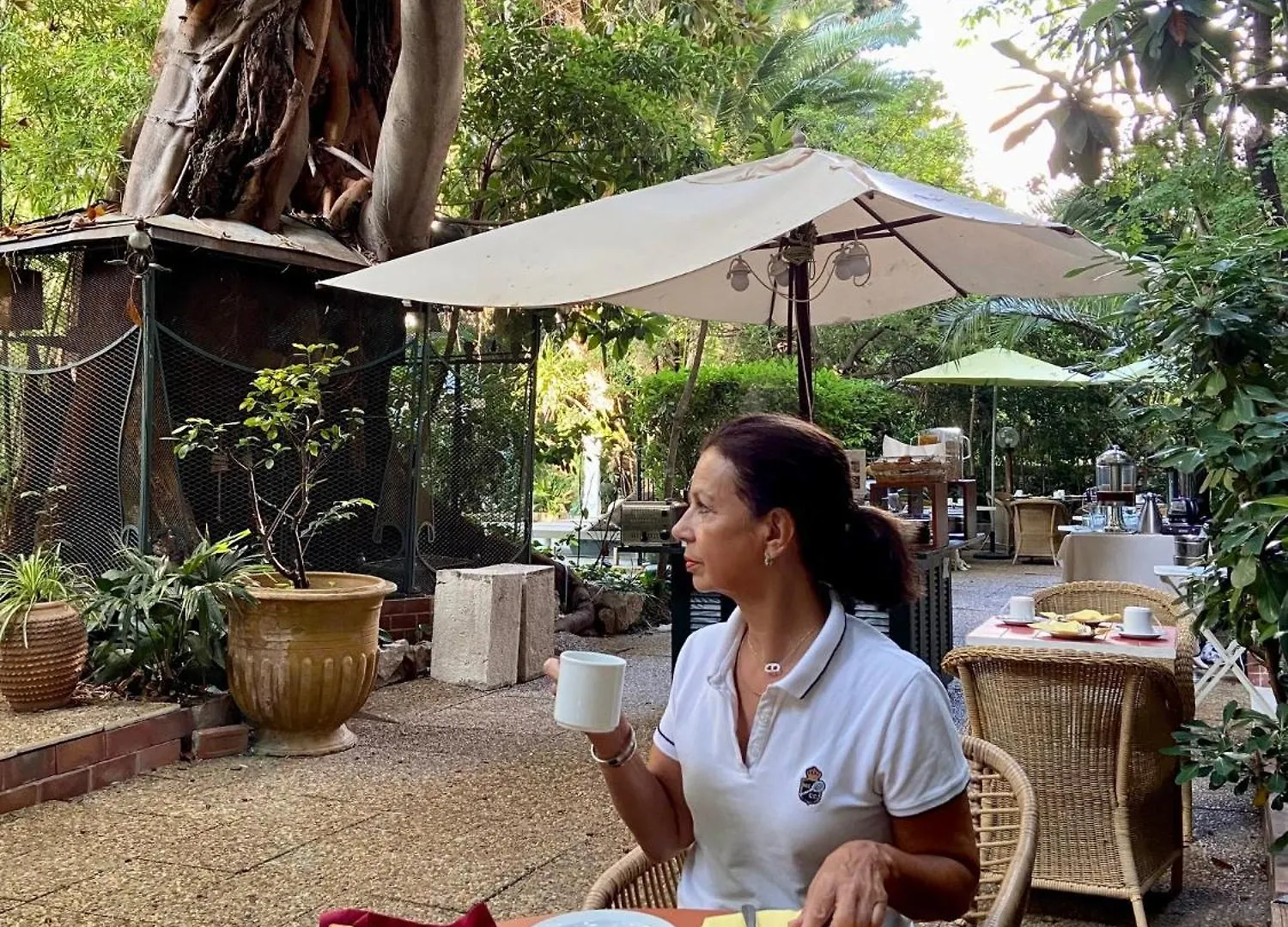 Le Windsor, Jungle Art Hotel Nice