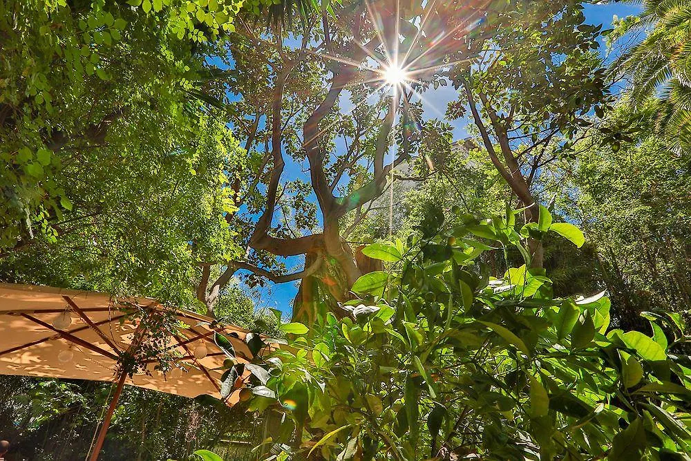****  Le Windsor, Jungle Art Hotel Nice France