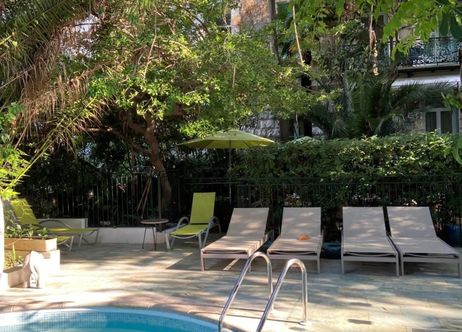 Le Windsor, Jungle Art Hotel Nice
