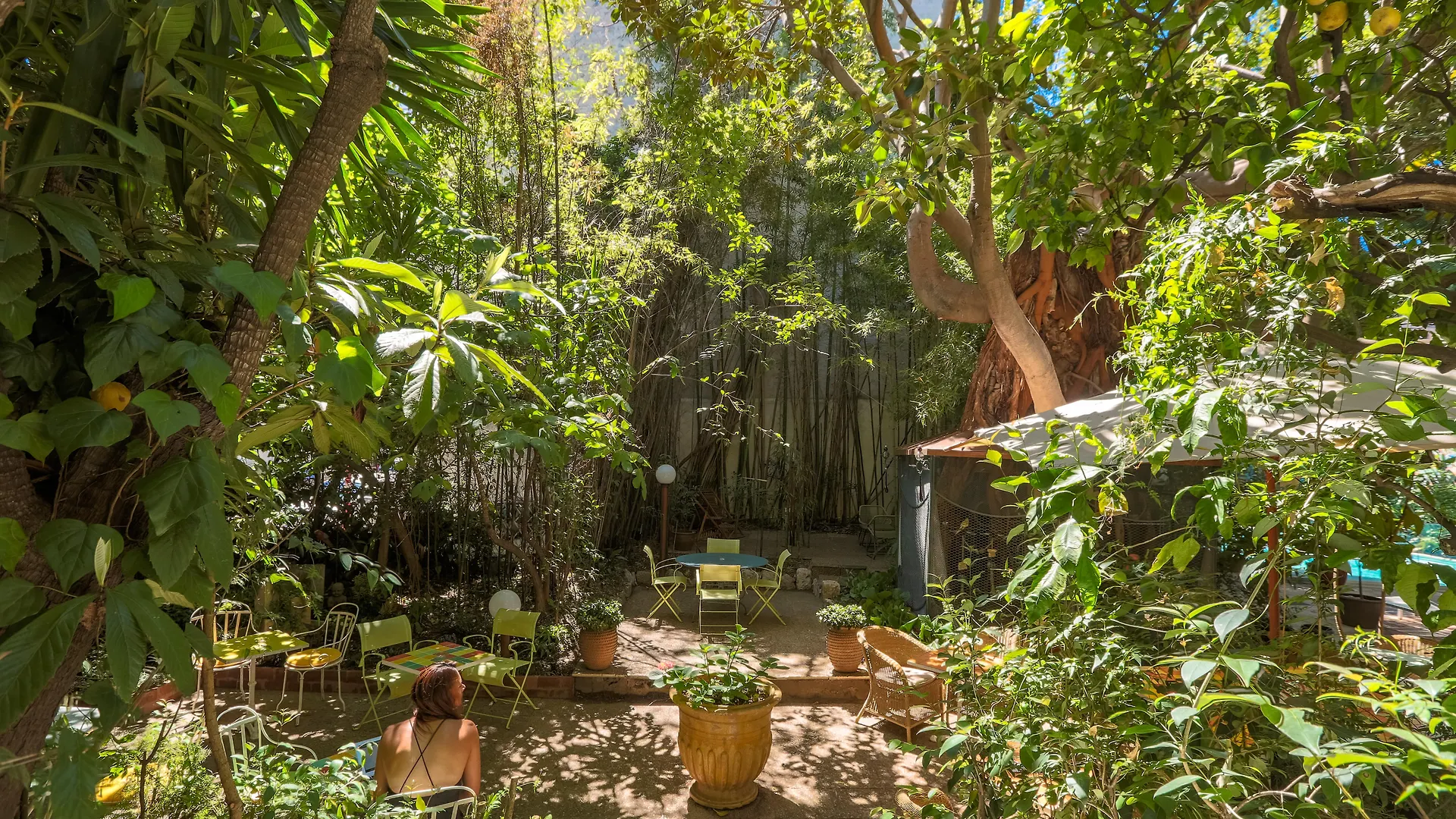 Le Windsor, Jungle Art Hotel Nice