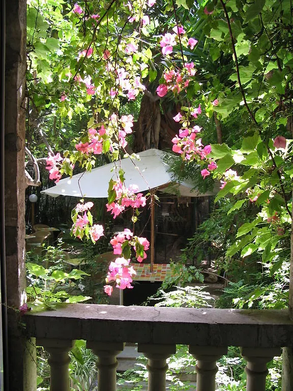 Le Windsor, Jungle Art Hotel Nice