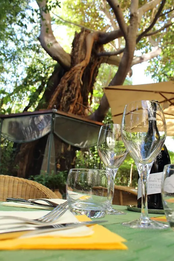 ****  Le Windsor, Jungle Art Hotel Nicea Francja
